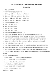 山东省临沂市兰山区2023-2024学年七年级上册期中语文试题（含解析）