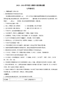 河南省驻马店市确山县2023-2024学年七年级上册期中考试语文试题（含解析）