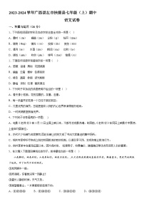 广西壮族自治区崇左市扶绥县2023-2024学年七年级上册期中测试语文试卷（含解析）