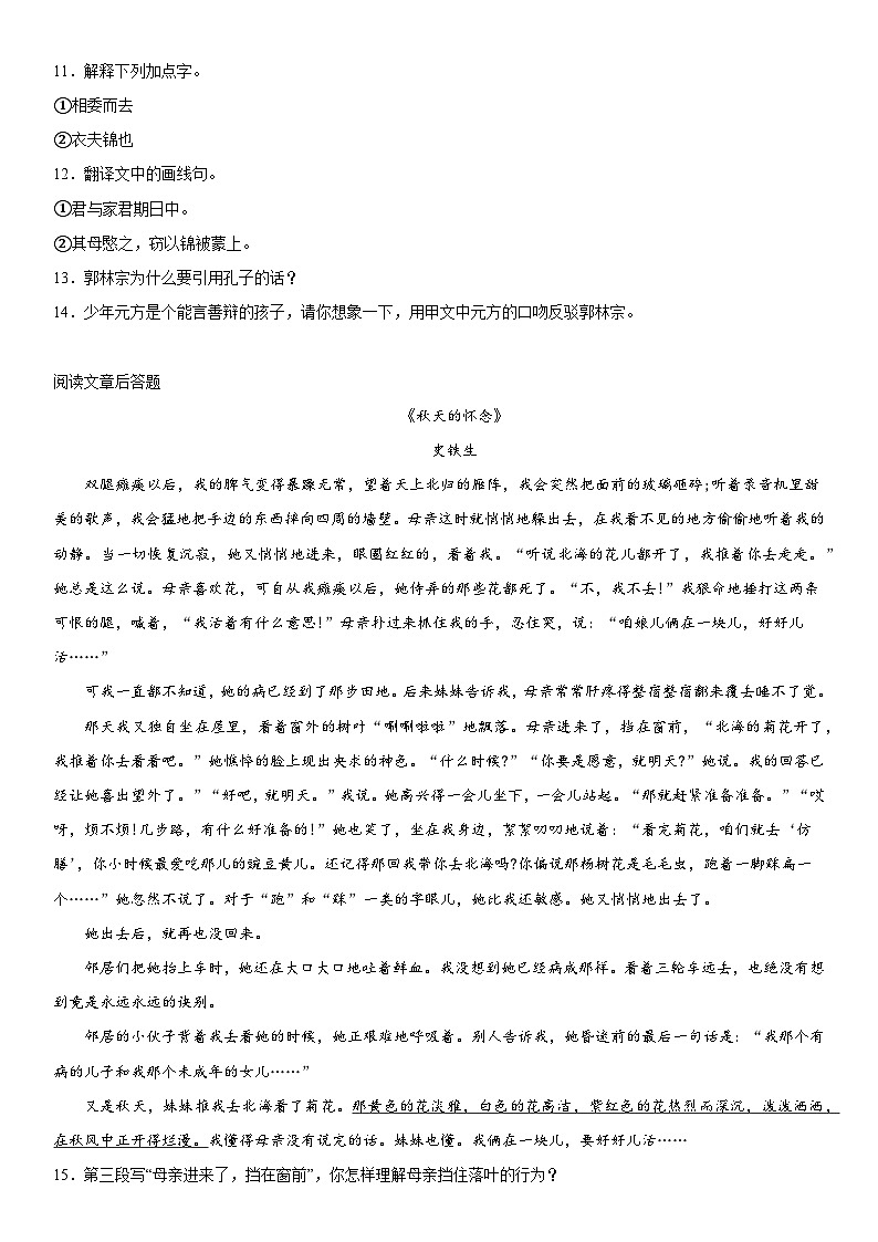 广西壮族自治区崇左市扶绥县2023-2024学年七年级上册期中测试语文试卷（含解析）第3页