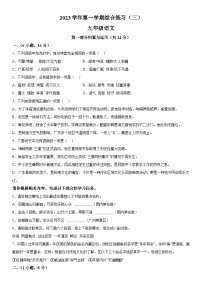 广东省广州市番禺区香江实验学校2023-2024学年九年级上册12月月考语文试题（含解析）