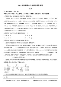 河南省南阳市方城县2023-2024学年九年级上册期中阶段性调研语文试题（含解析）