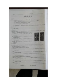 山西省朔州市右玉县右玉教育集团2023-2024学年九年级上学期12月期中语文试题
