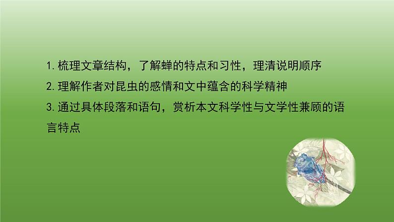 八年级上册《蝉》教学专用课件02
