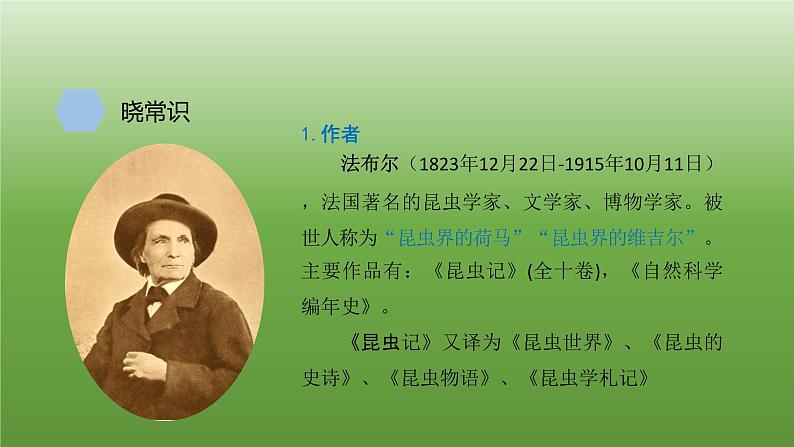 八年级上册《蝉》教学专用课件03