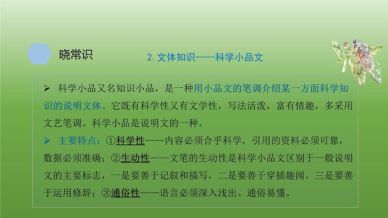 八年级上册《蝉》教学专用课件04