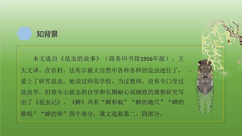 八年级上册《蝉》教学专用课件05