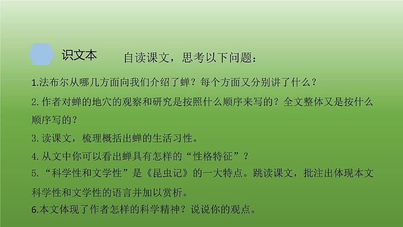 八年级上册《蝉》教学专用课件08