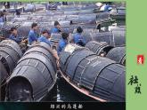 八年级下册《社戏》备课专用课件