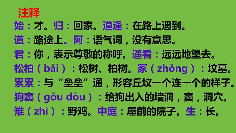 九年级下册《十五从军征》教学专用课件第6页