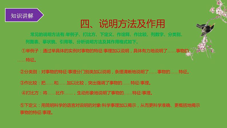 中考语文说明文阅读考点及解题技巧课件05