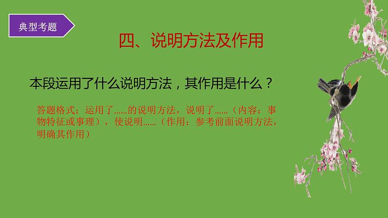 中考语文说明文阅读考点及解题技巧课件07