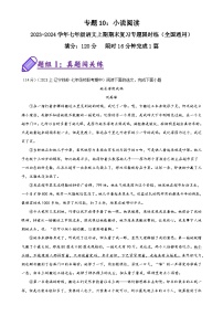 专题10：小说阅读-2023-2024学年七年级语文上期期末复习专题限时练（全国通用）