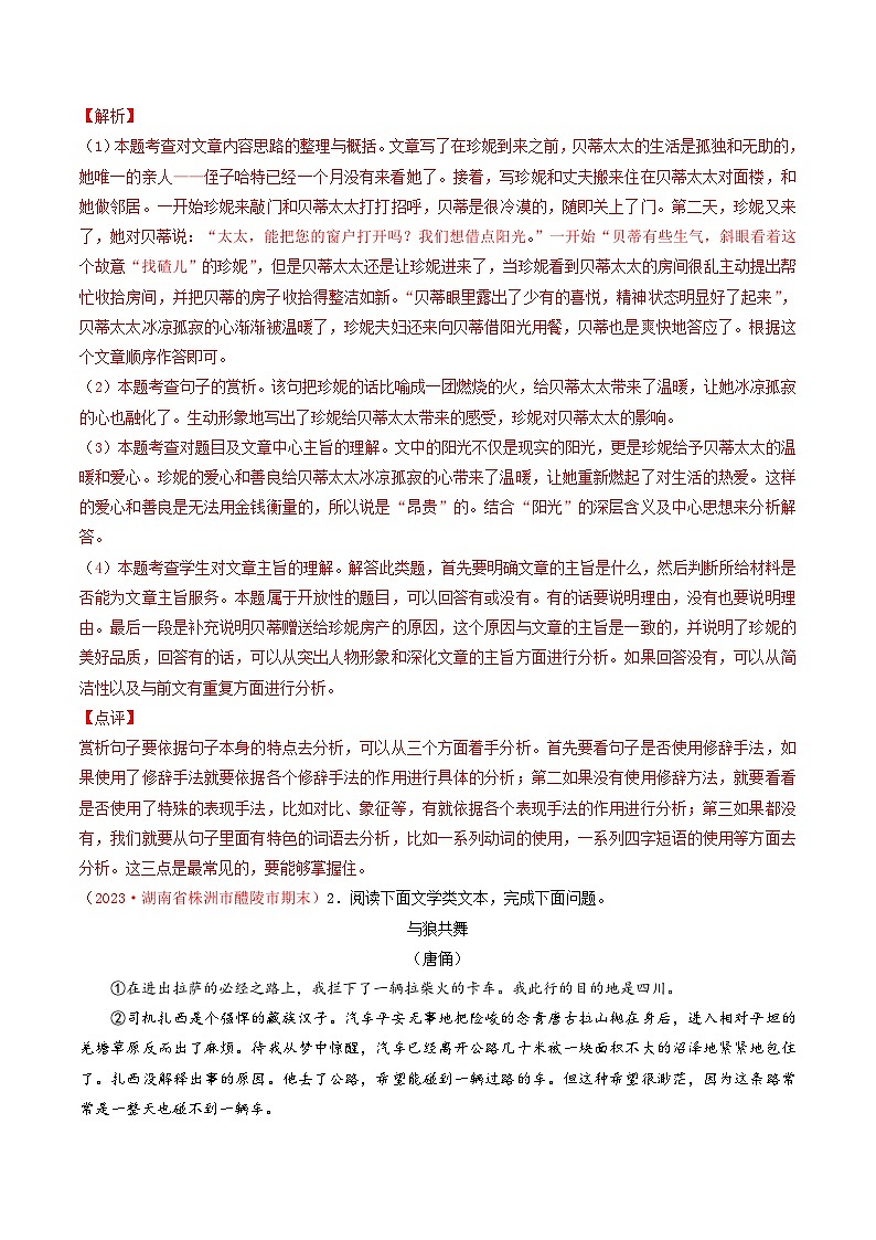 专题09：小说阅读（考题猜想）-2023-2024学年九年级语文上学期期末考点大串讲（统编版）解析版第3页