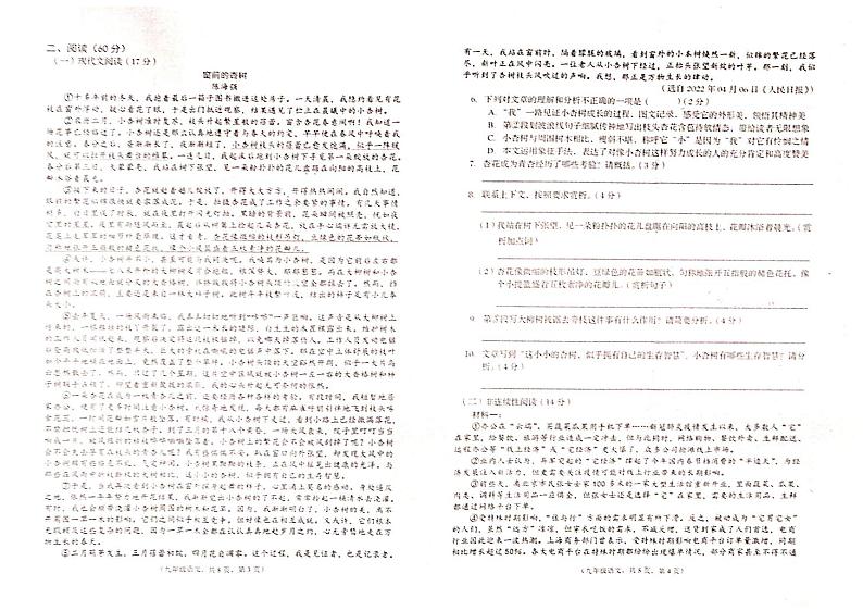 甘肃省陇南市康县2022-2023学年九年级上学期期末考试语文试题第2页