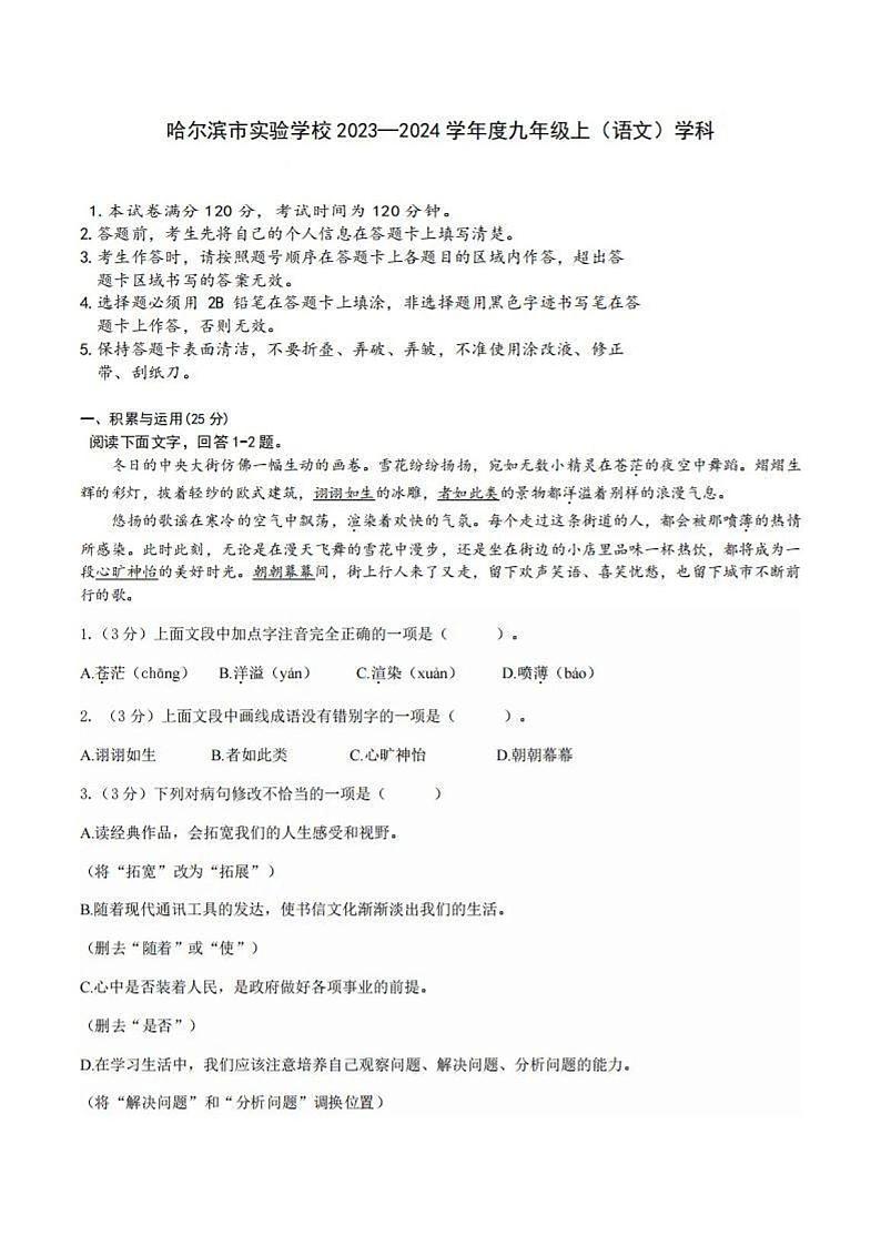 黑龙江省哈尔滨市实验学校2023-2024学年九年级上学期期末模拟语文试卷01