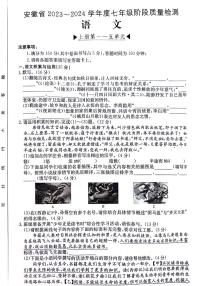 安徽省阜阳市太和县2023-2024学年七年级上学期12月月考语文试题