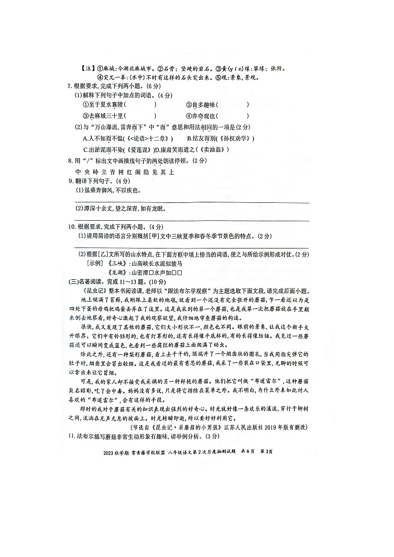 江苏省泰州市兴化市2023-2024学年八年级上学期12月月考语文试题第3页
