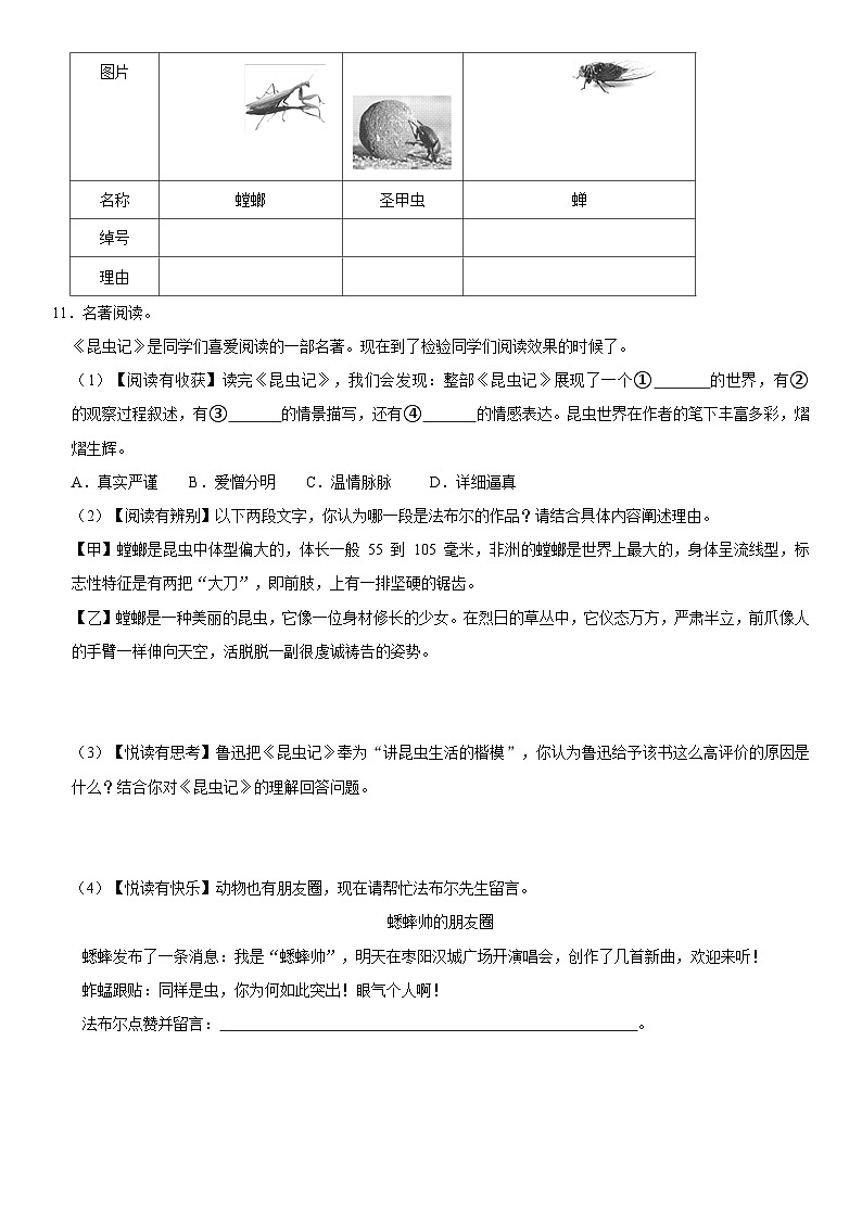 人教版语文八年级上册精品期末模拟试卷（含详细解析）第3页
