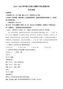 河南省漯河市召陵区2023-2024学年七年级上学期期中语文试题
