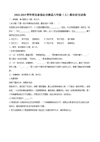 2022-2023学年河北省保定市唐县八年级（上）期末语文试卷（含详细答案解析）