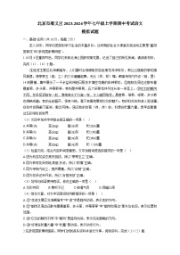 北京市顺义区2023-2024学年七年级上学期期中考试语文模拟试题（含答案）