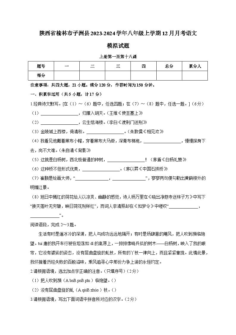 陕西省榆林市子洲县2023-2024学年八年级上学期12月月考语文模拟试题（含答案）01