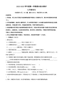 广东省河源市紫金县2022-2023学年九年级上学期期末语文试题
