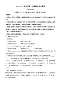 广东省河源市紫金县2022-2023学年九年级上学期期末语文试题答案