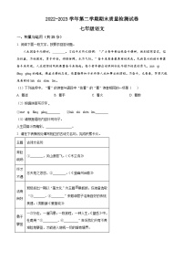 河南省洛阳市偃师区2022-2023学年七年级下学期期末语文试题