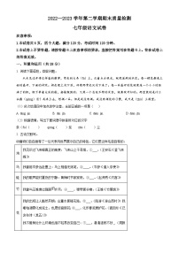 河南省洛阳市宜阳县2022-2023学年七年级下学期期末语文试题