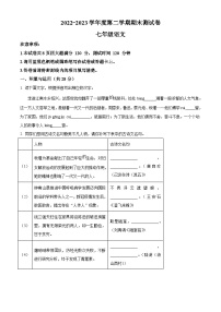 河南省宝丰县名校联盟2022-2023学年七年级下学期期末语文试题