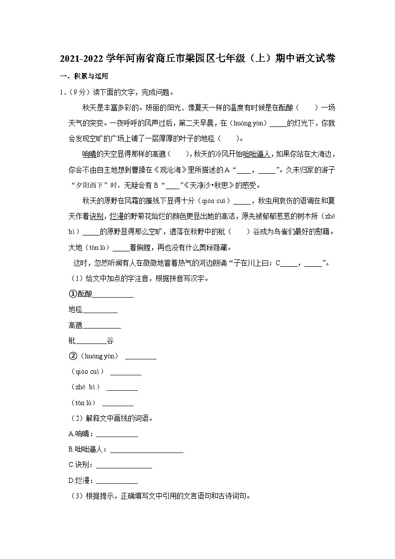 河南省商丘市梁园区2021-2022学年七年级上学期期中考试语文试卷01