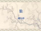 人教版七年级上册《狼》课件