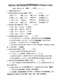 山东省青岛市胶州市三里河实验学校2023-2024学年九年级上学期12月月考语文试题