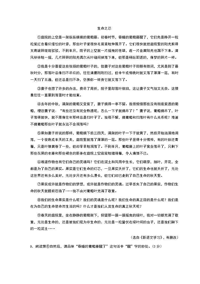 部编版七年级语文上册 期末考试试卷及答案第3页