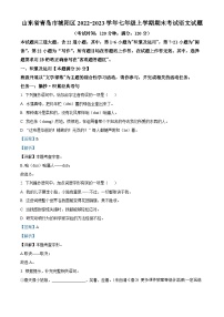 山东省青岛市城阳区2022-2023学年七年级上学期期末语文试题