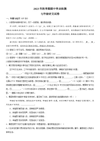 江苏省盐城市大丰区2023-2024学年七年级上册期中语文试题（含解析）