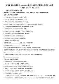 山东省青岛市城阳区2022-2023学年七年级上册期末语文试题（含解析）