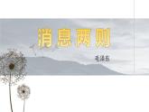 消息二则PPT课件2