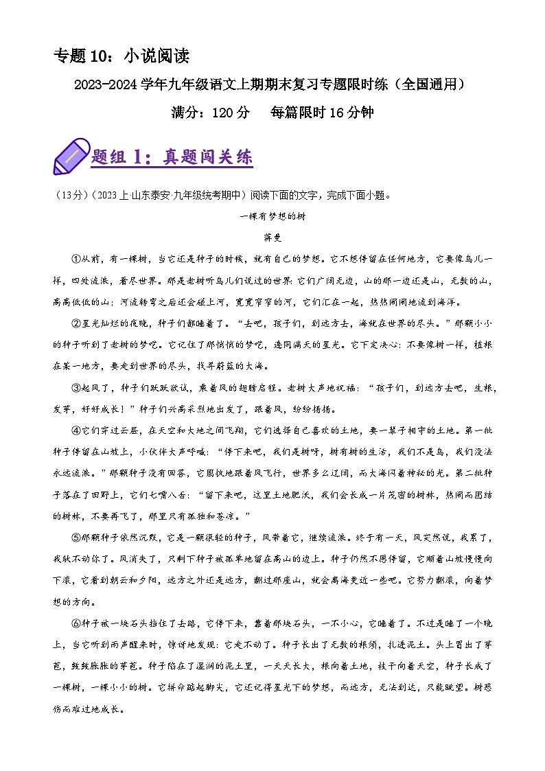 专题10：小说阅读-2023-2024学年九年级语文上期期末复习专题限时练（全国通用）（原卷版）第1页