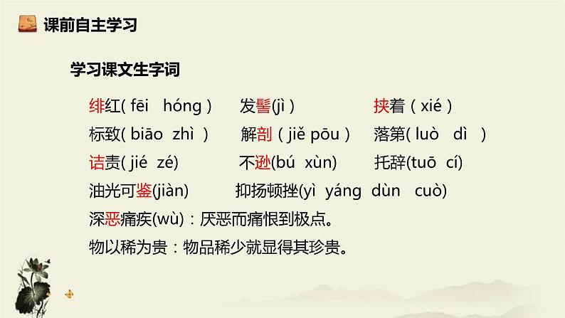 藤野先生PPT课件603