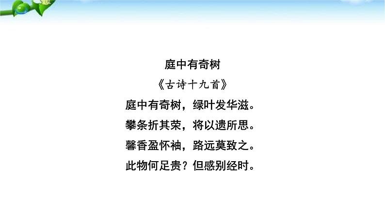 庭中有奇树PPT课件402