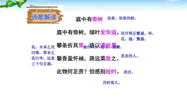 庭中有奇树PPT课件404