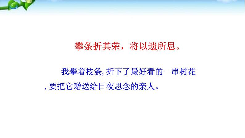 庭中有奇树PPT课件406