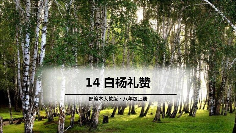 白杨礼赞PPT课件7第1页