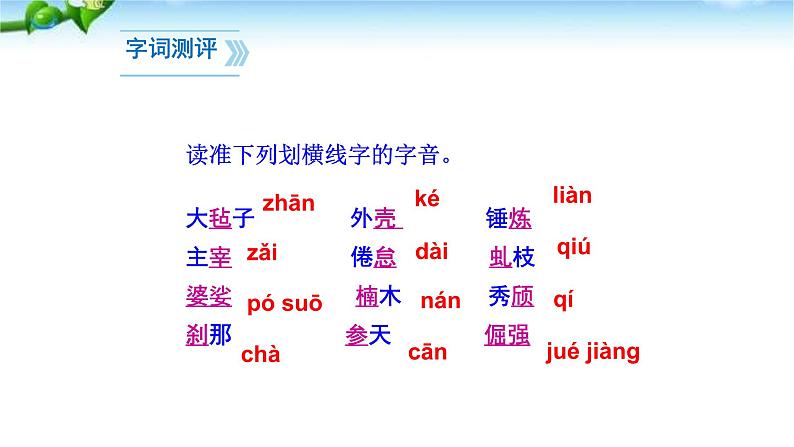 白杨礼赞PPT课件7第8页