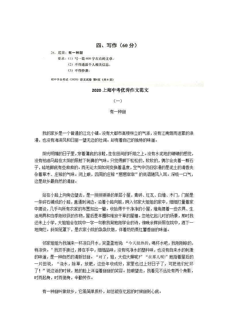 部编版中考九年级下册语文素材作文指导教案+上海中考优秀作文范文01
