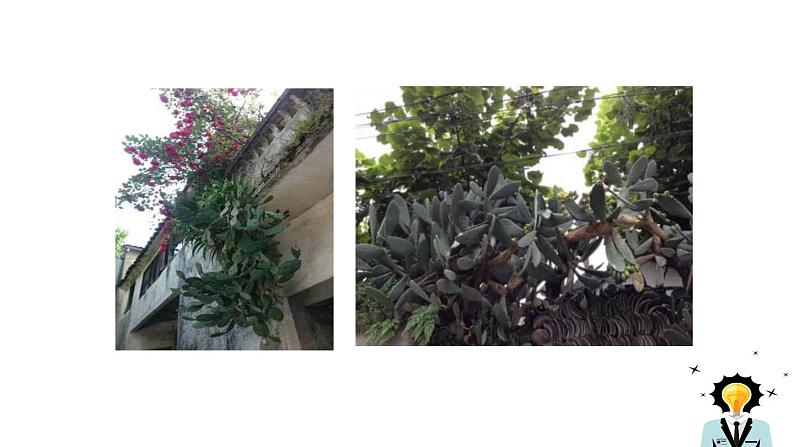 昆明的雨PPT课件8第7页