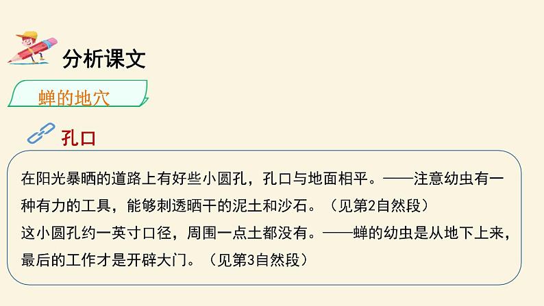 蝉PPT课件5第5页